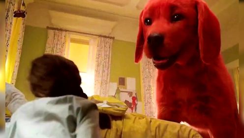小女孩养的红色狗狗，一夜之间长得巨大，这样的狗狗你爱吗