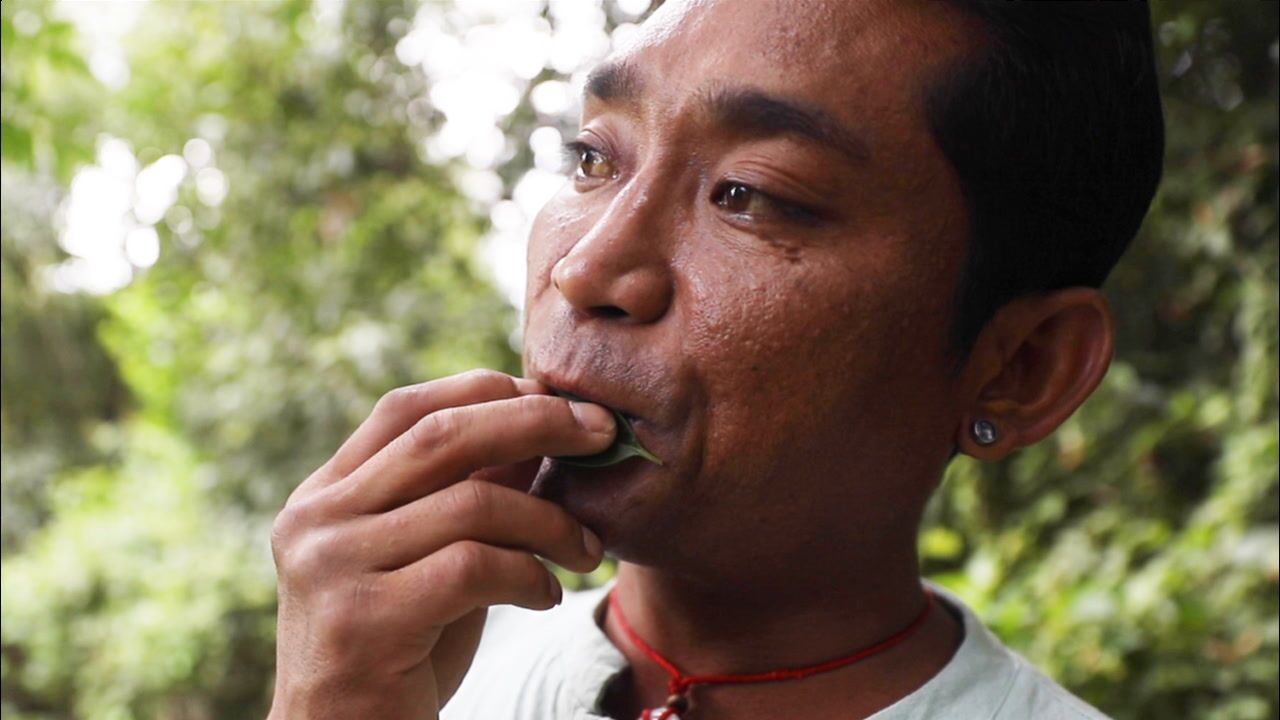 佤族小伙善长多种乐器 用树叶吹歌在西安赢得赞叹