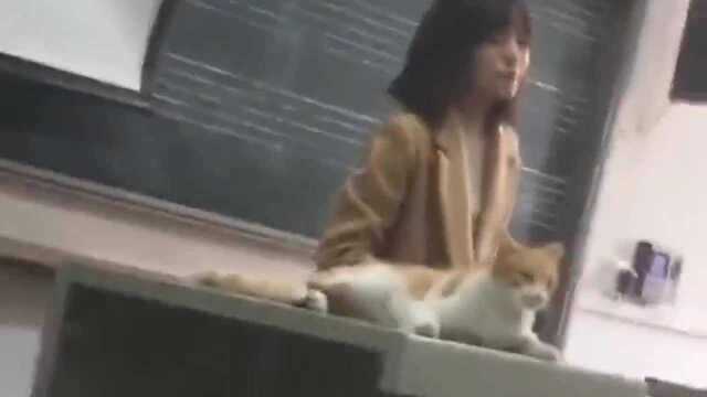 搞笑配音 猫:老师,听你的课我很舒服