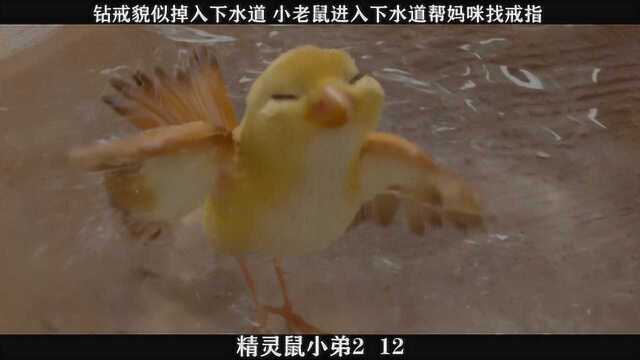 《精灵鼠小弟2》12,钻戒貌似掉入下水道,小老鼠进入下水道帮妈咪找戒指