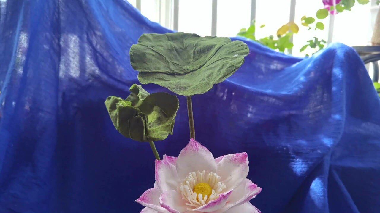 荷叶教程简单的手工制作diy赶紧试试吧