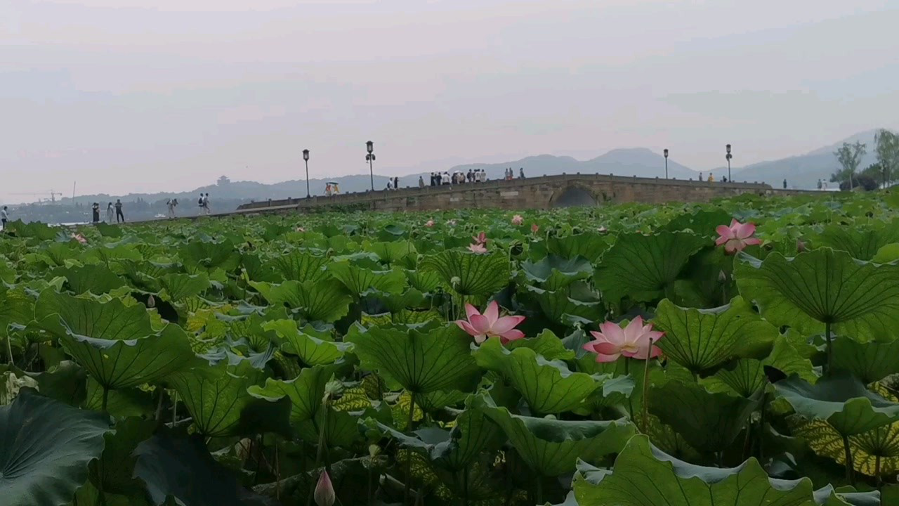 杭州西湖断桥,相传许仙和白娘子相遇的地方,你去过吗?_腾讯视频