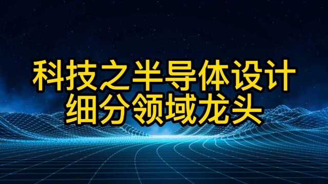 科技之半导体设计细分领域龙头