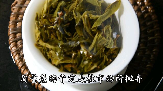 为什么总有人觉得台地茶制作出来的普洱茶不及古树茶?台地茶里面还有台刈茶一定要关注,如果只在乎树龄的话,这里面存在大古树矮化后的台