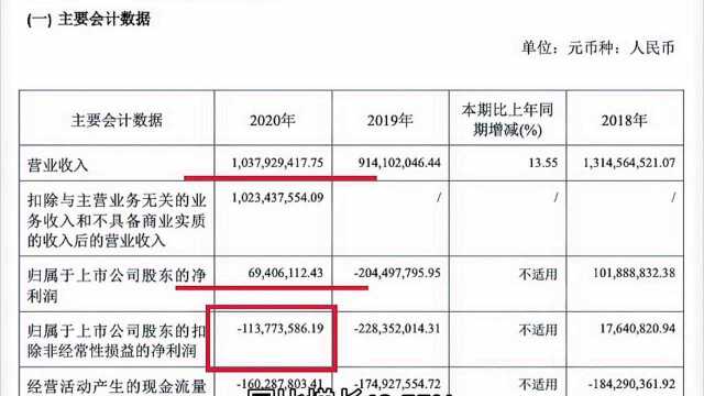 金种子酒年报视频号