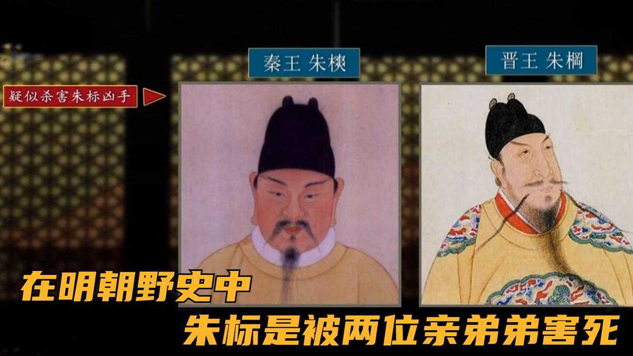 在明朝野史中,朱标是被两位亲弟弟害死了,而不是生病死的_高清1080P在线观看平台_腾讯视频