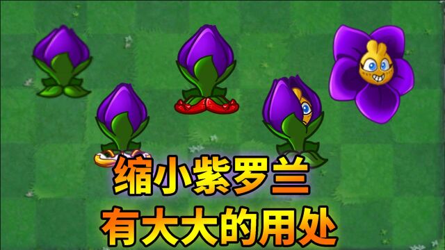 pvz2:缩小紫罗兰知多少?