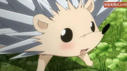 2021-08-20上传者:35289199动 漫:家庭教师0:01:07天空狮子