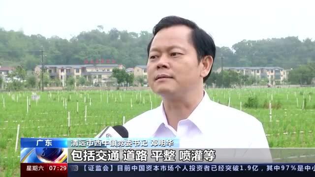 上半年财政政策执行情况报告发布 财政涉农资金“立体护航”乡村振兴