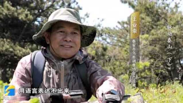 感受泰山的石之魂、水之韵!纪录片《脉动泰山》全集来了