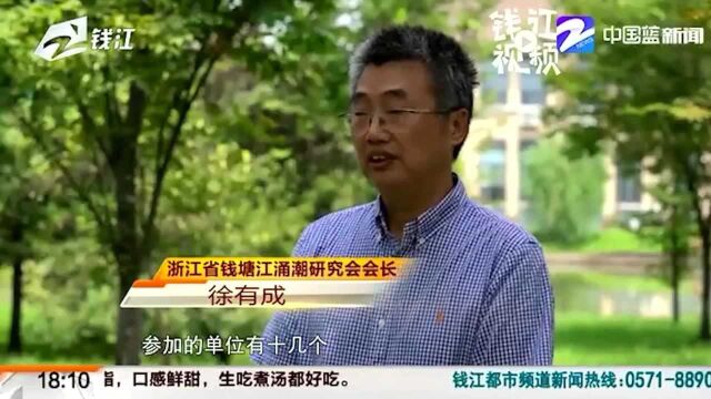 首次全景动态监测 探一探神秘的钱塘江涌潮