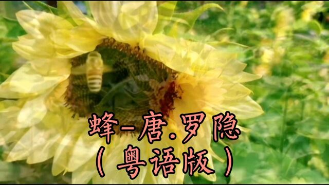 (粵語版)古詩:蜂-唐.羅隱