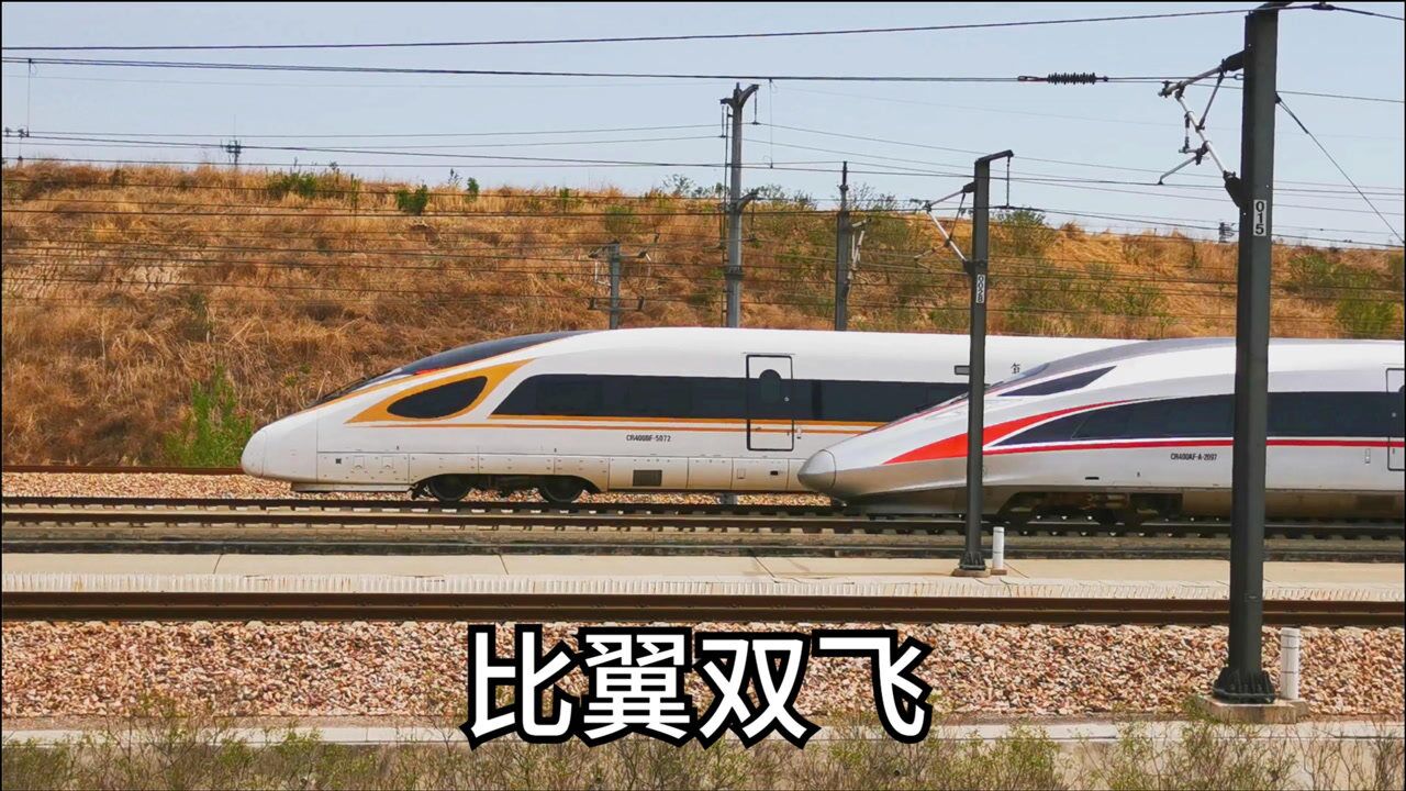 红神龙和金凤凰"比翼双飞"