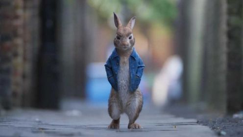 小兔子被嫌弃太调皮，选择离家出走，彼得兔2：逃跑计划