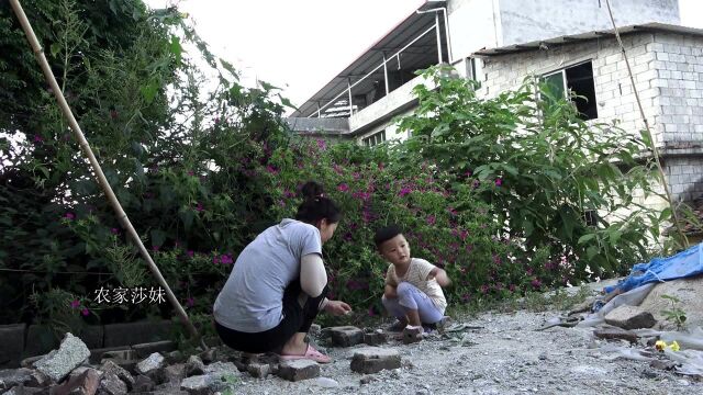 以前农村房前屋后种植的胭脂花,知道它的价值后,现在一株难求