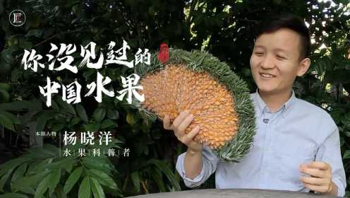他是水果猎人，一年自费50万寻找，让人知道什么是中国水果