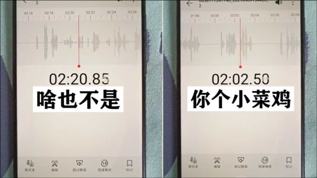 沈阳姑娘智斗诈骗犯:你个小菜鸡,骗都骗不明白,啥也不是!