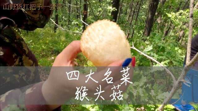 四大名菜之一荤中素山珍猴头菇,看着就像金丝猴头一样,价格昂贵