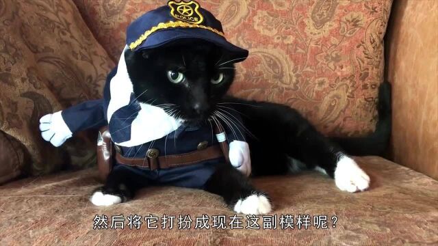 高度还原的现实版“黑猫警长”,主人这是童心未泯?