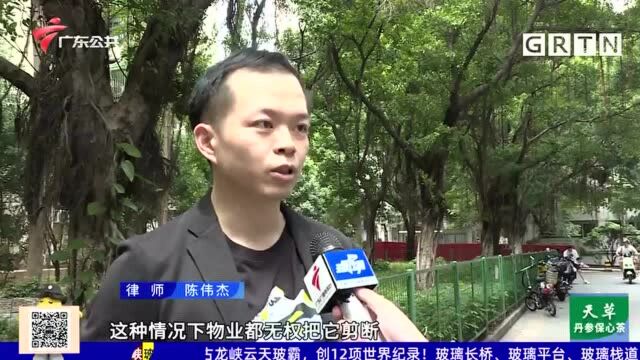 住户投诉:物业与运营商之间有纠纷 剪断网线影响上网