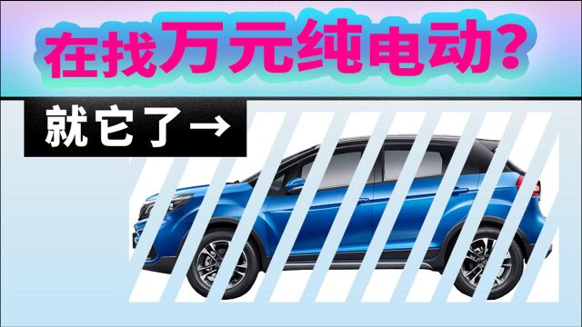 万元级纯电动汽车 枫叶30X带给你更多的选择空间,电动版远景X3