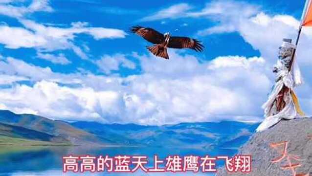 西藏洋湖美景