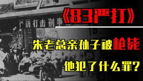 1983年全国严打，朱德元帅的亲孙子被枪毙，他犯了什么罪？