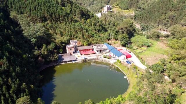 航拍广西桂平山里的大户人家,青山绿水大鱼塘,风景真的太漂亮了!