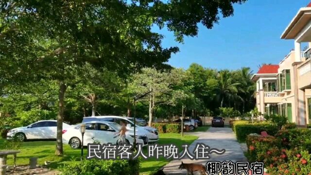 火箭发射民宿客满!满院子的车辆有仪仗队的架势!气势磅礴!祖国加油!