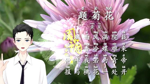 诗三百诵读版 黄巢 题菊花 他年我若为青帝 报与桃花一处开