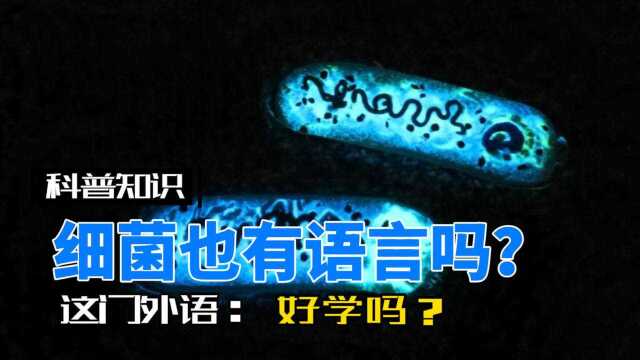 简直成精了!细菌居然也有语言,还懂外语?