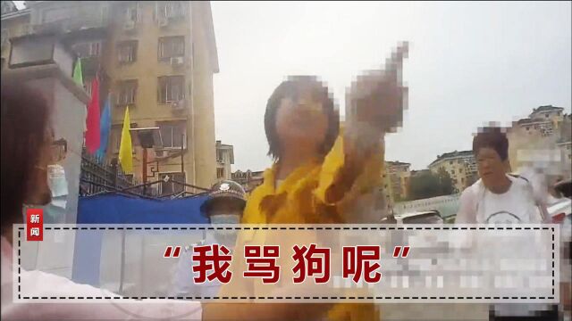 北京路虎“豪横女”公然辱警,扬言“你算什么东西”,下1幕太解气