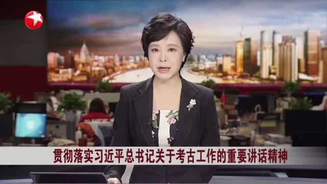 贯彻落实习近平总书记关于考古工作的重要讲话精神