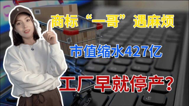 原厂早已停产,靠卖商标年赚13亿,吊牌大王遇冷,市值缩水427亿