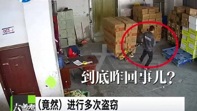 河南郑州:老板信任的“好员工”竟是“内鬼”,涉案金额高达40万元