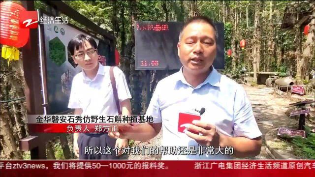 数字化在身边:5G技术+区块链溯源平台 为中药材办理“身份证”