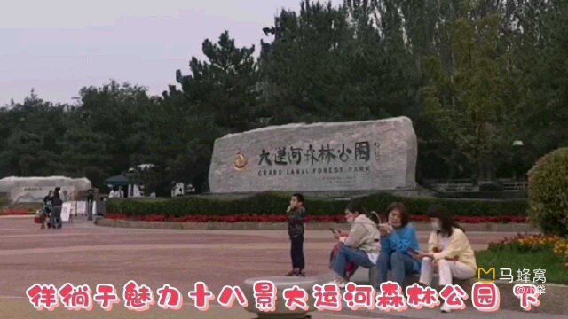 徉徜于魅力十八景大运河森林公园 下