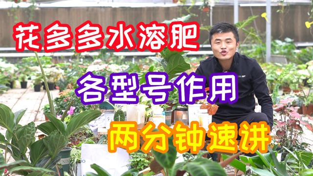 两分钟带您了解花多多各型号作用以及使用方法.养花必懂小知识.