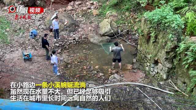 新闻110|探访南京最新打卡地老山老母猪沟“翡翠湖”,提醒:最深处15米切勿下水