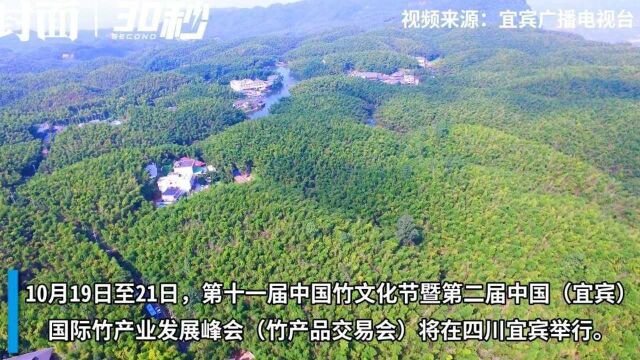 这里是全国十大竹资源富集区之一!四川宜宾底气十“竹”