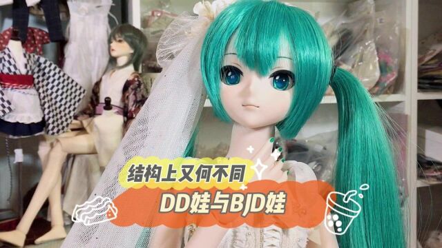 娃圈小知识:DD娃与bjd娃的结构不同之处