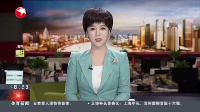 国家文物局:“仰韶文化”见证中国现代考古学百年