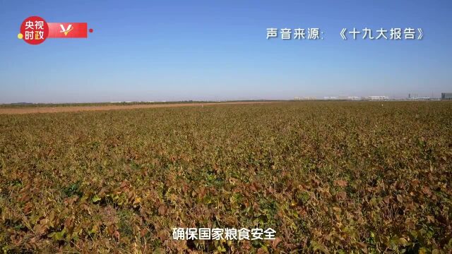 习近平山东行丨盐碱地上的绿色梦想——走进黄三角农高