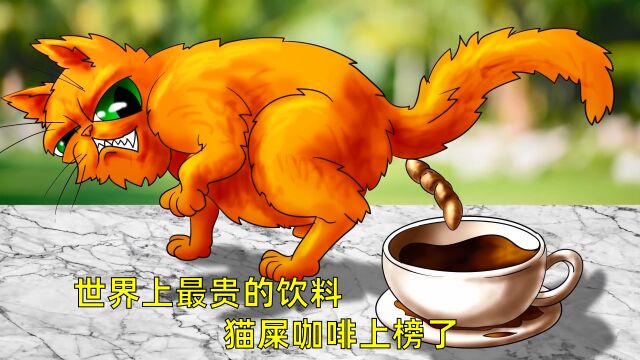 5种昂贵的饮料,猫屎咖啡为什么这么贵?