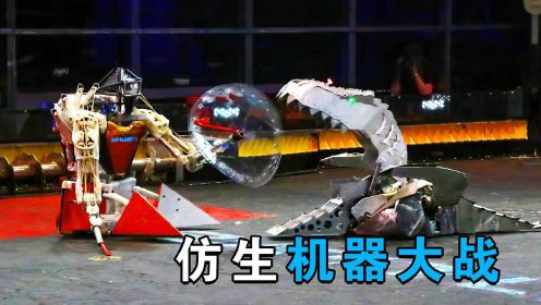 机器人大战S2-3：仿生机器人大战，32强产生，机甲碎片乱飞