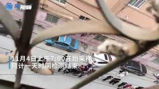 秩序井然!河南扶沟县城区域内全员核酸检测,99个采样点1天结束