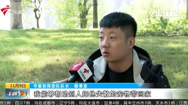 广州:“寻猫侦探”助主人宠物重逢