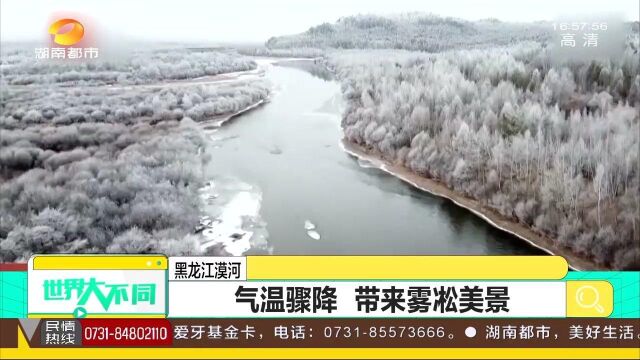 黑龙江漠河气温骤降 带来雾凇美景 市民赶来拍照:相当带劲儿!