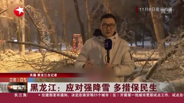 黑龙江:应对强降雪 多措保民生