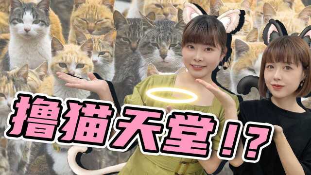 日本的美术大学竟然是隐性撸猫天堂!?聊聊那些以猫咪为灵感的知名设计作品!